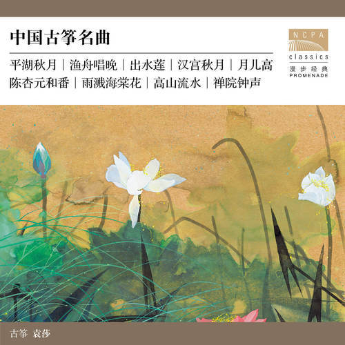 10首古筝名曲百听不厌(图6)