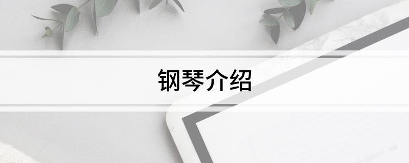 钢琴介绍(图1)