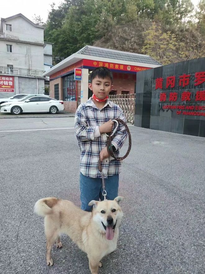 人气冠军黄俊驰-敦煌国乐•“琴台知音”首届古筝艺术节-黄冈赛区(图1)
