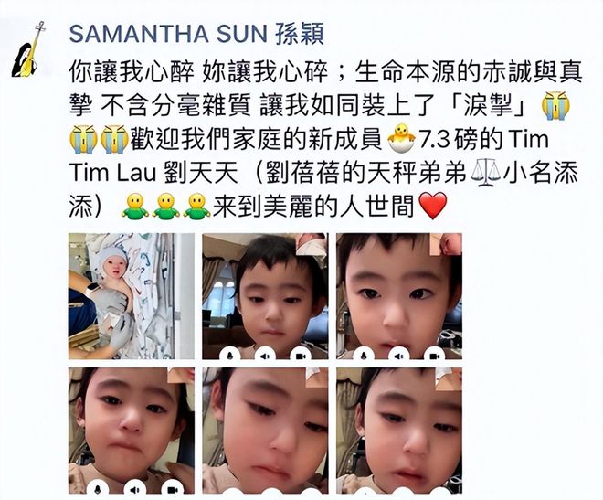 强过年轻人？钢琴大师刘诗昆抱得小37岁娇妻年过85又结瓜(图1)