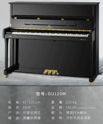 赛乐尔钢琴新品绽放：匠心工艺邂逅优雅旋律引领钢琴艺术新风尚(图3)