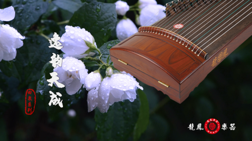 龙凤乐器丨推动琴筝艺术以老师为主数字智能化为辅的发展进程(图2)