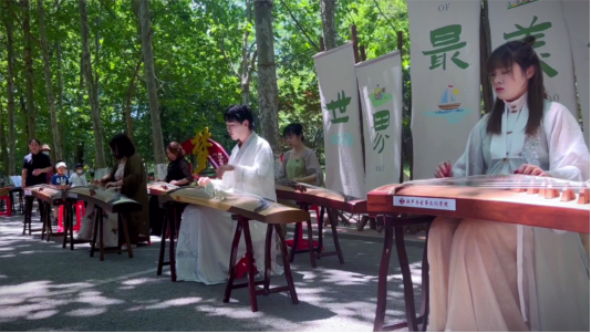 青岛市南：雅乐悠扬展古筝文化魅力(图4)