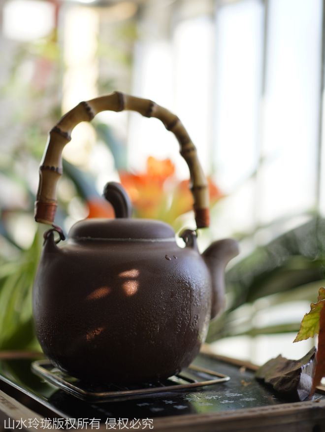 山海世庐《你的茶叶知识升级手册(图1)