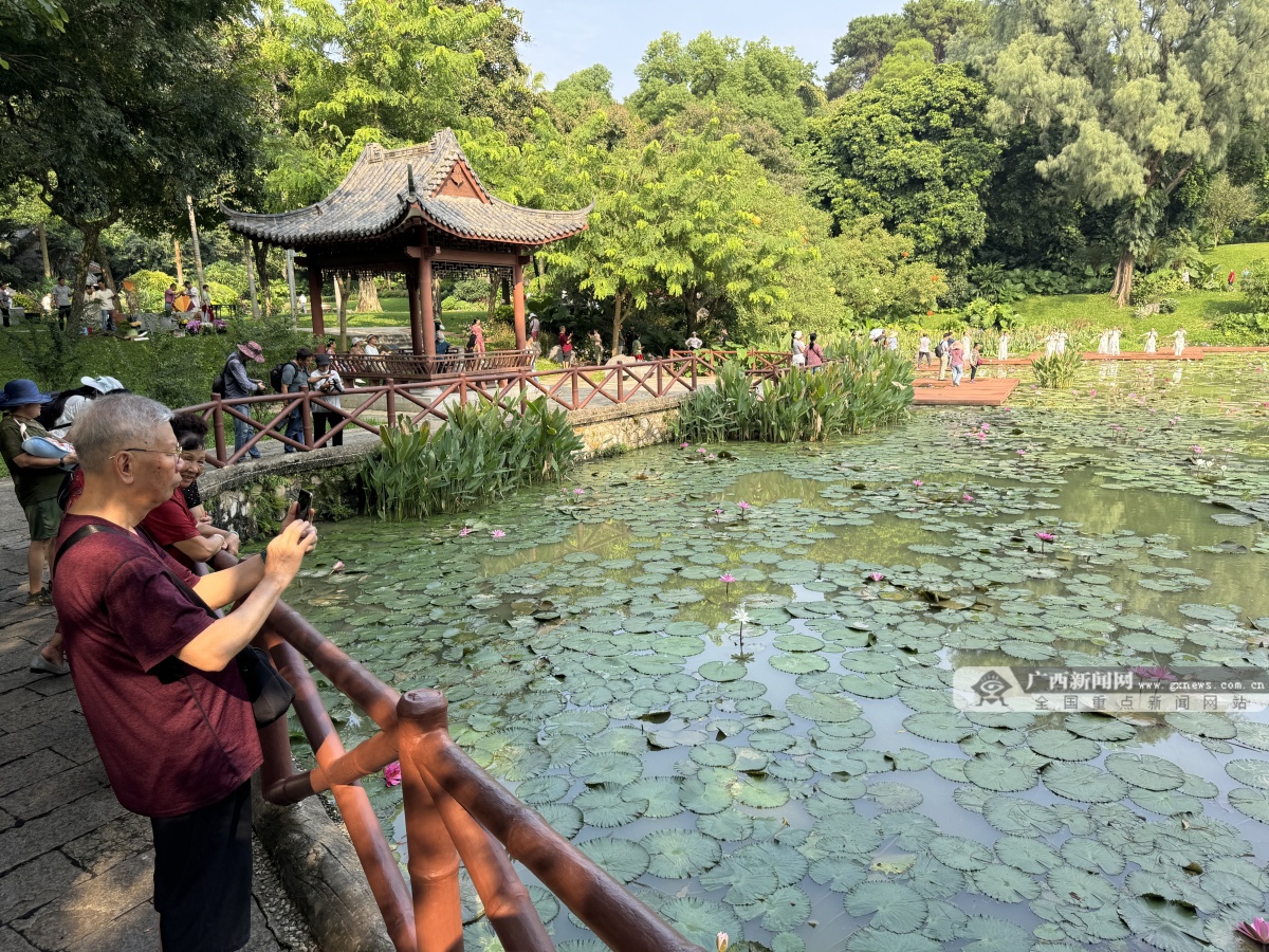 喜迎中秋丨广西多地多彩活动庆中秋拉满节日氛围感！(图4)