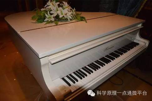 【科普】钢琴键为什么只有黑白两个色？(图2)