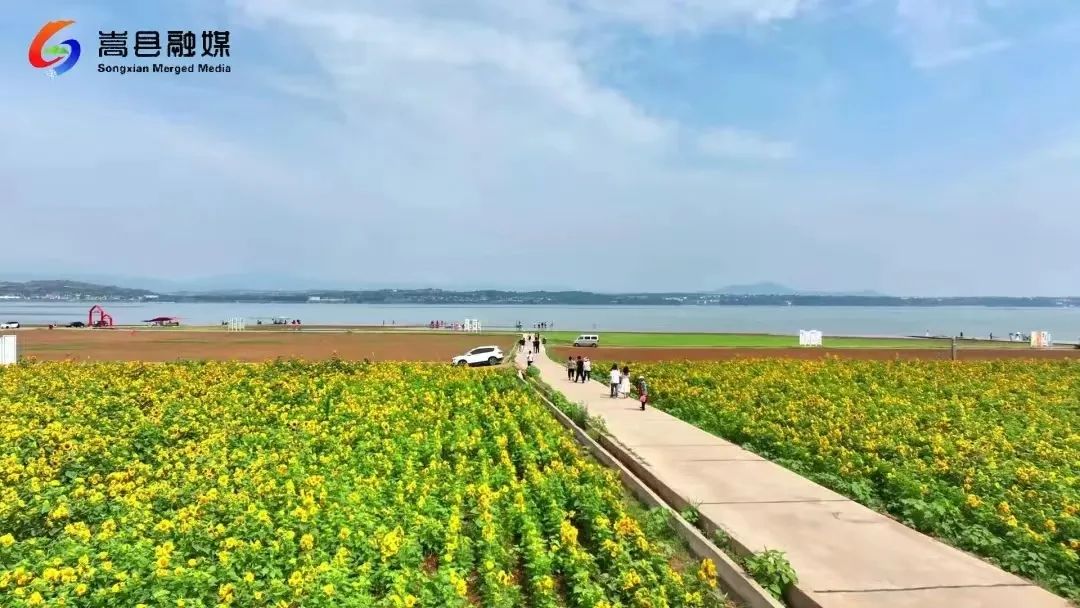 放松无极限国庆来嵩县(图4)