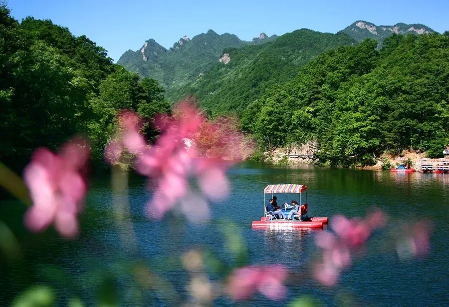 放松无极限国庆来嵩县(图15)