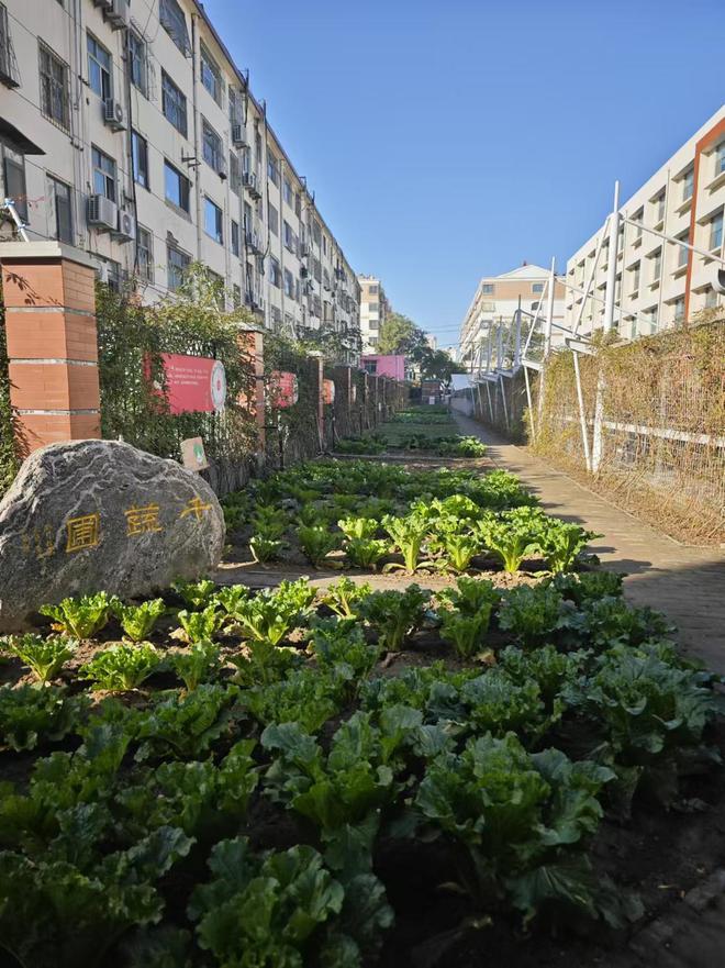 何以中国走进济宁学院附属小学：小学生掌握500个甲骨文写法从文字演变中接续传统文化(图3)