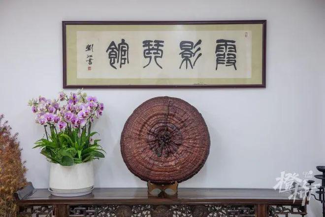 安吉路上传奇女琴师！她教“林黛玉”陈晓旭弹琴还在杭州办了全国第一家古琴馆(图25)
