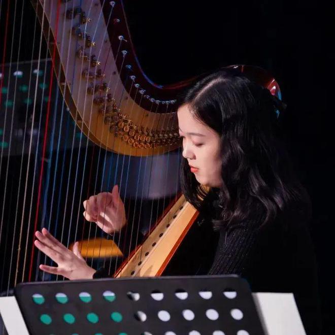 1214德国原版绘本启蒙交响音乐会《放屁大象吹低音号之环球音乐之旅(图8)