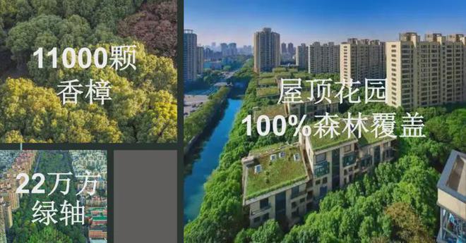 中鹰黑森林【中鹰黑森林】2025网站丨丨楼盘测评(图14)