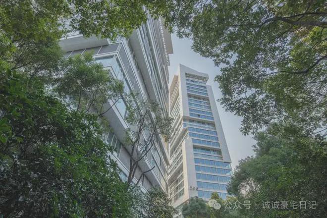 中鹰黑森林【中鹰黑森林】2025网站丨丨楼盘测评(图18)