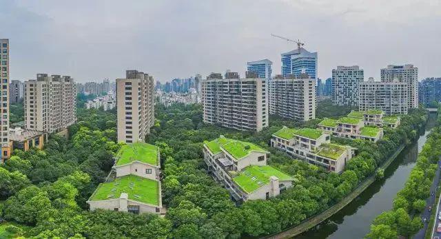 中鹰黑森林【中鹰黑森林】2025网站丨丨楼盘测评(图22)