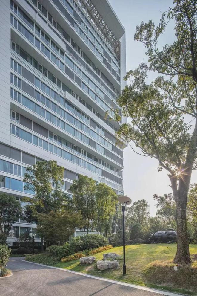 中鹰黑森林【中鹰黑森林】2025网站丨丨楼盘测评(图24)