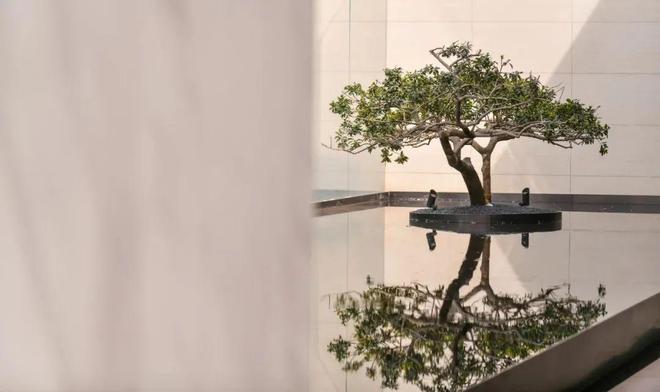 2024(中国铁建·西派澜岸)网站西派澜岸售楼中心欢迎您(图5)