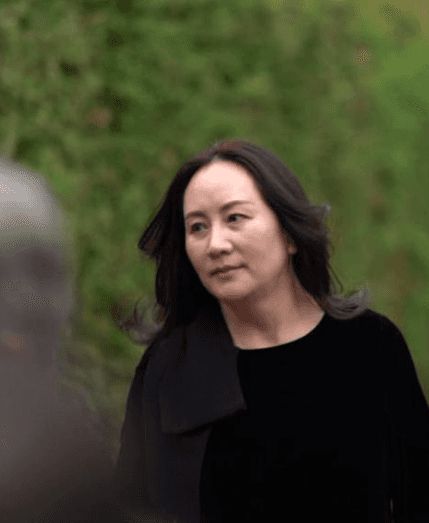 同是任正非的基因孟军和姚凌的女儿一对比一个天上一个地下(图22)