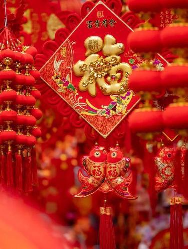 春节在中国几千年为啥现在才申遗成功？韩国网友：明明是我们的(图6)