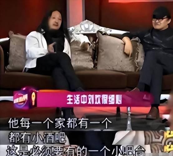 被央视封杀多年患上“不死癌症”的刘欢早已走上另一条大道(图12)