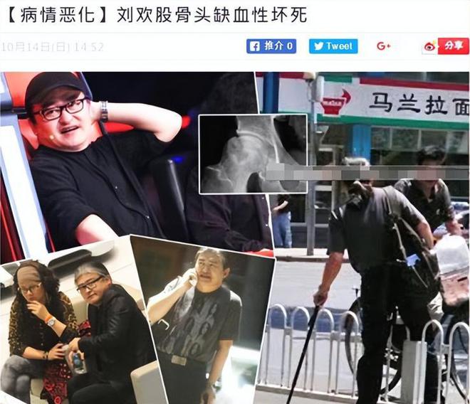 被央视封杀多年患上“不死癌症”的刘欢早已走上另一条大道(图10)