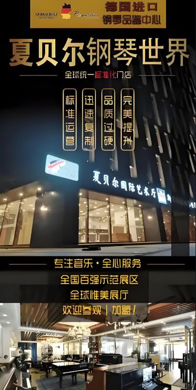 夏贝尔与斯坦伯格：两款世界十大顶级钢琴品牌品质与技术价值分析(图6)