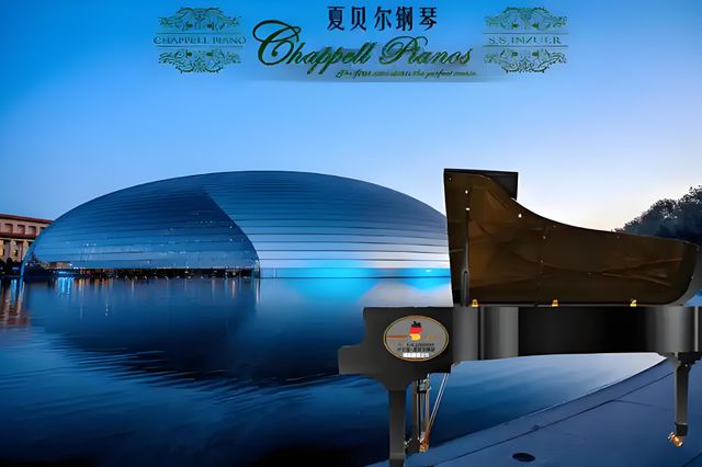 夏贝尔与斯坦伯格：两款世界十大顶级钢琴品牌品质与技术价值分析(图8)
