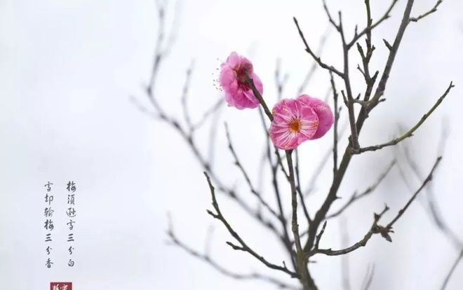 古筝十大名曲曲曲醉人心(图4)