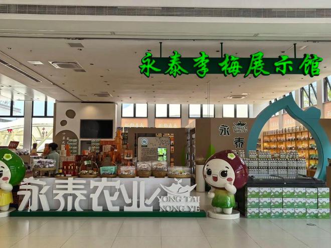 古筝奏响闽台情文化赋能高速路——“乐在旅途海丝高速音乐汇”青云山服务区专场精彩开演(图2)