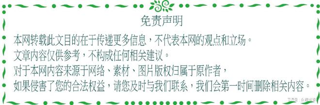2025青春键“贝多芬”音乐节新闻发布会盛大启幕(图8)