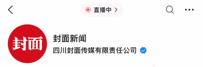 环球小姐李思萱被抓伪造学历获刑240天(图1)