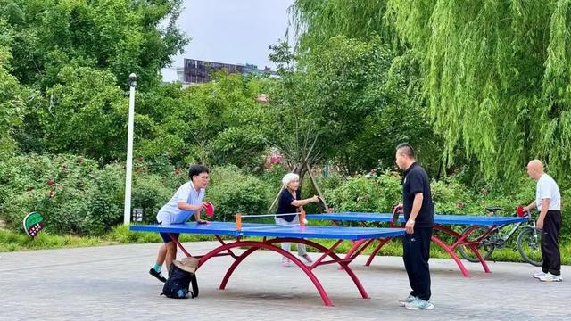 畅游淇县！聆古筝弦动悠扬品千年古韵端午！(图7)