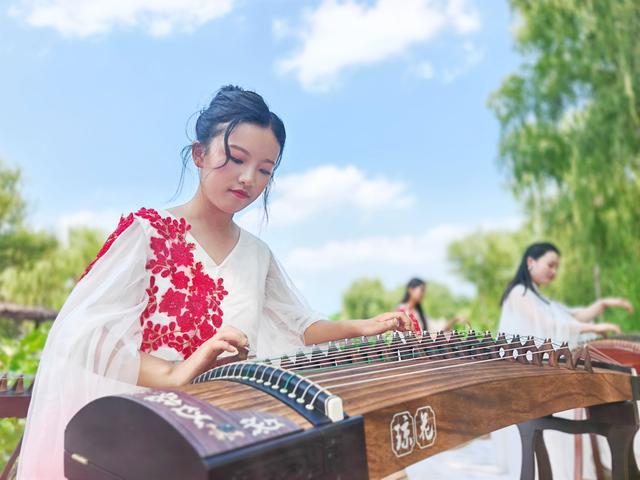 每日一景丨古筝新韵(图2)