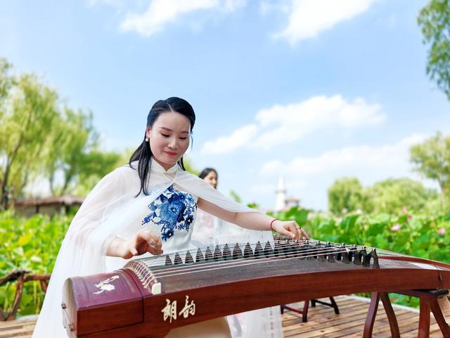 每日一景丨古筝新韵(图1)