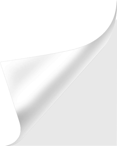 用鲜花的“语言”传递“大爱”的涵义(图1)