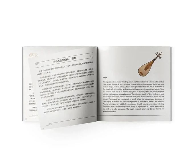 她是中国最年轻的音乐教授还是享誉世界的“琵琶诗人”(图6)
