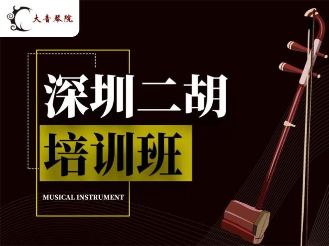 2025深圳古筝音乐培训中考音乐班大音琴院定期举办会(图3)