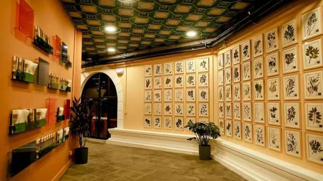 精彩服贸会乐享石景山｜解锁石景山（本山）新玩法(图1)