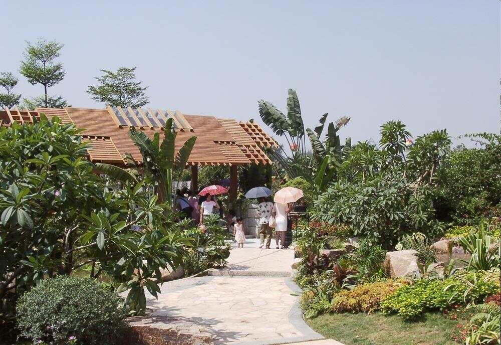 与城共生：跨越廿四载一座金奖园林的诞生与重生珠园廿五载绿美谱新章(图4)