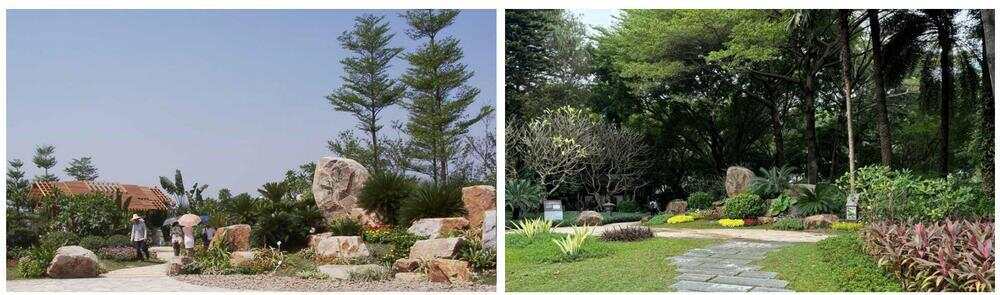 与城共生：跨越廿四载一座金奖园林的诞生与重生珠园廿五载绿美谱新章(图7)