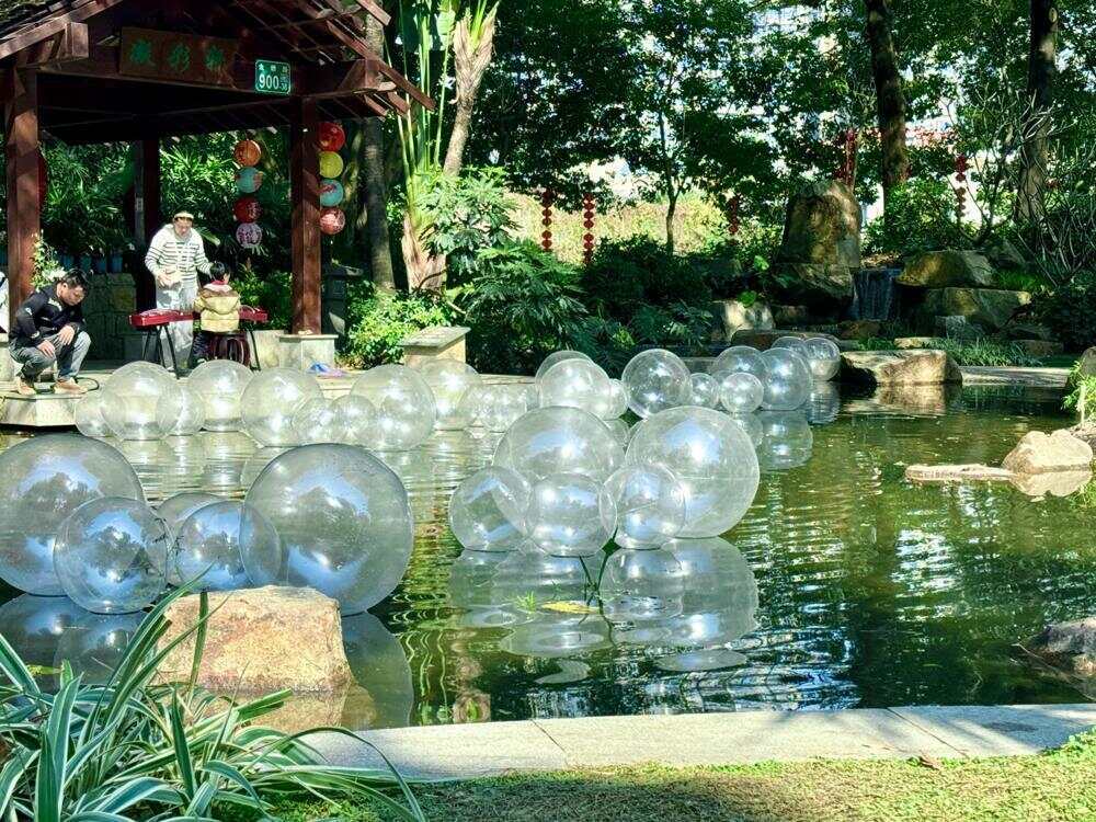 与城共生：跨越廿四载一座金奖园林的诞生与重生珠园廿五载绿美谱新章(图9)