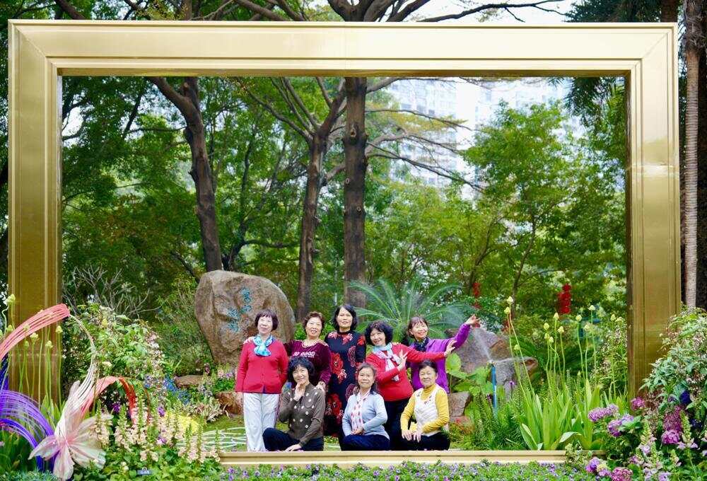 与城共生：跨越廿四载一座金奖园林的诞生与重生珠园廿五载绿美谱新章(图13)