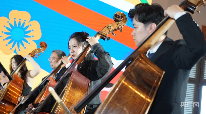 国风乐器“圈粉”青年非遗手艺“焕新”舞台(图1)