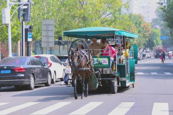 “汉语桥”选手漫步五大道领略万国风光于非遗中体悟传统文化(图1)