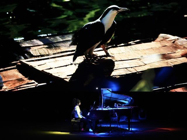 光影与琴音共舞长宁以“Xin”迎宾(图3)