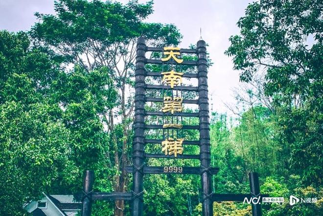 珠江钢琴正式签约景区经营权！白水寨主题曲29日首发(图1)