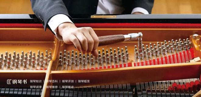 上海钢琴调律费用是多少?上海钢琴维修与售后指南(图3)