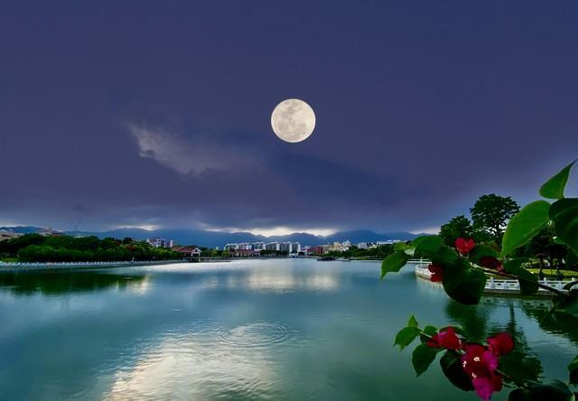 机器人弹古筝?广东馆把宋代广府搬到了版博会现场!(图1)