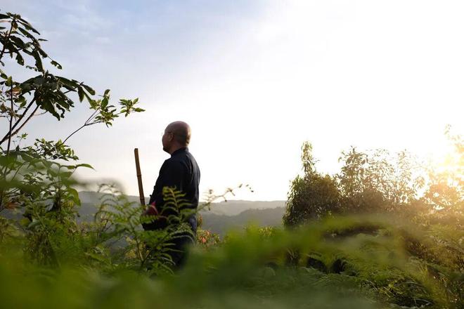 非遗音乐“种”进前锋村农田里这个周末有点暖(图2)