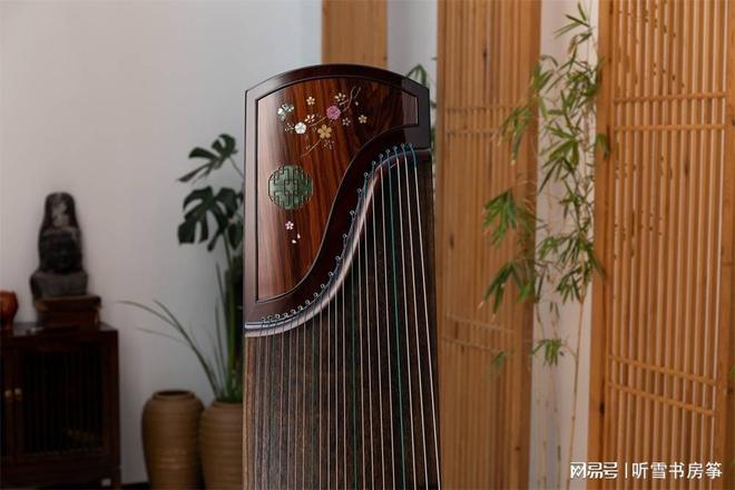新手选筝不踩雷！初学者入门古筝推荐(图2)