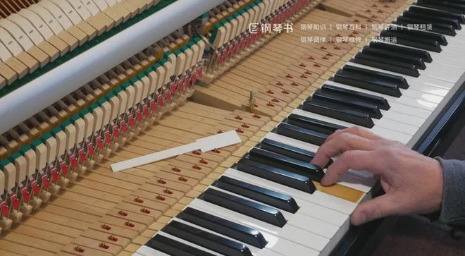二手钢琴选购:需要专业人士协助评估试琴吗?(图2)